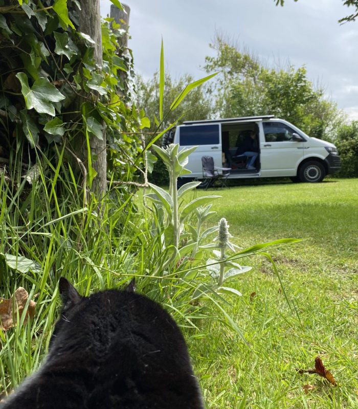 Bilder Starseite 1 Textabschnitt